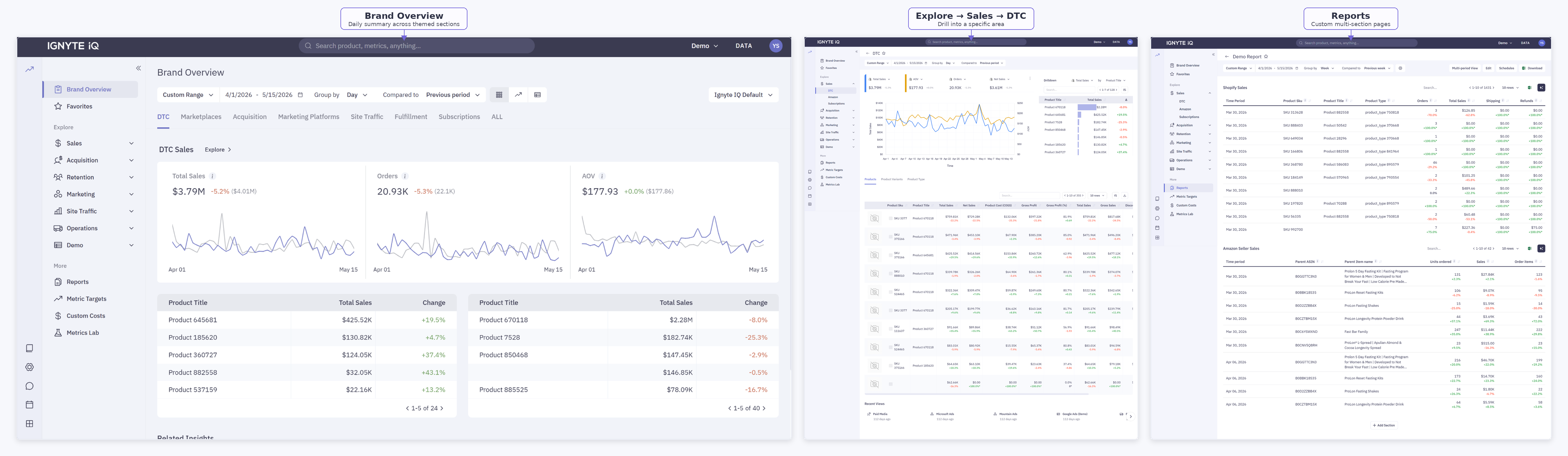 The three data-viewing surfaces side by side — Brand Overview's themed sections, an Explore dashboard's deep dive, and a Reports page assembled from multiple sections.