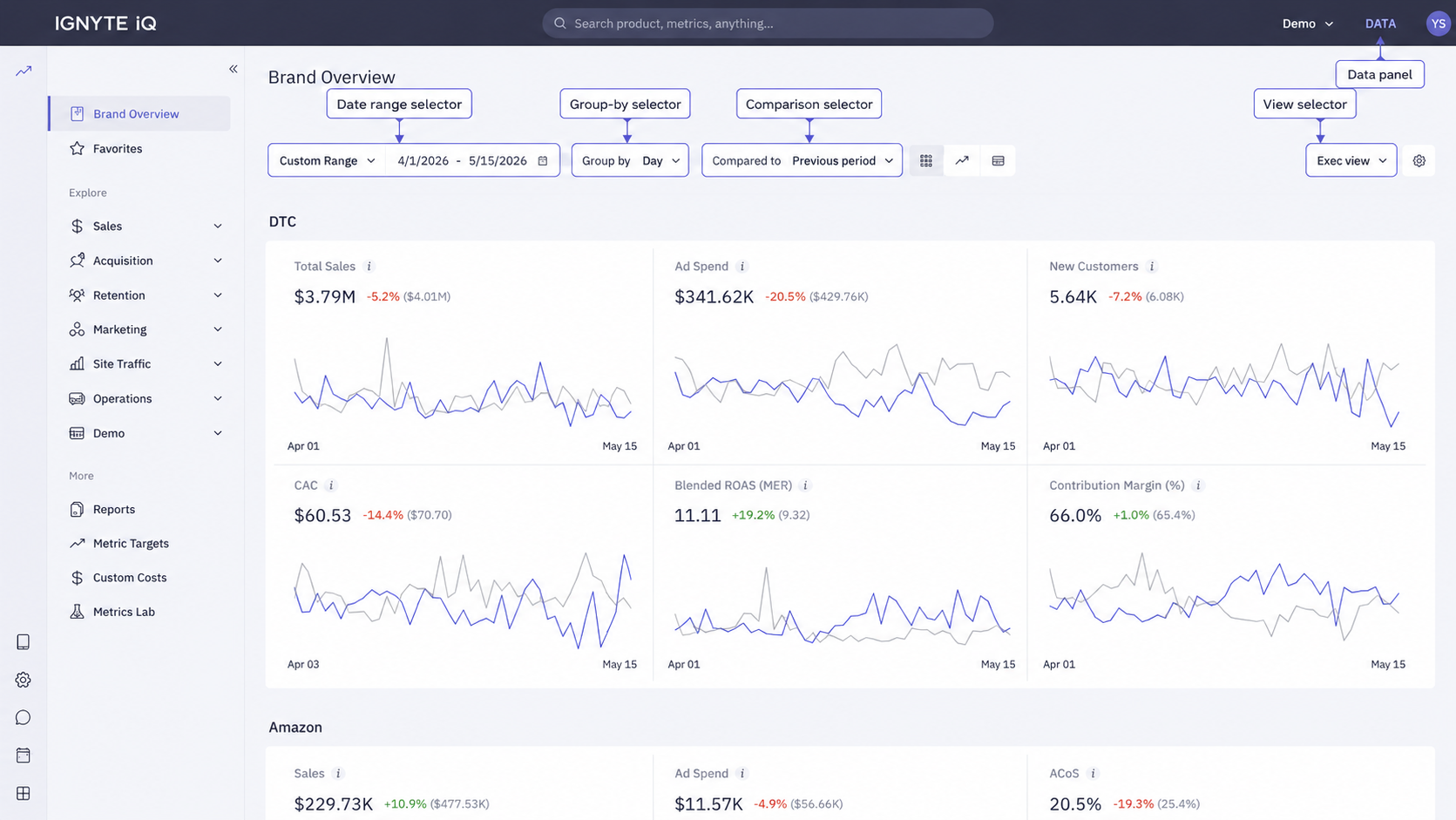 Brand Overview's control bar after the four-step routine — date range, comparison, group-by, and view selector all set.